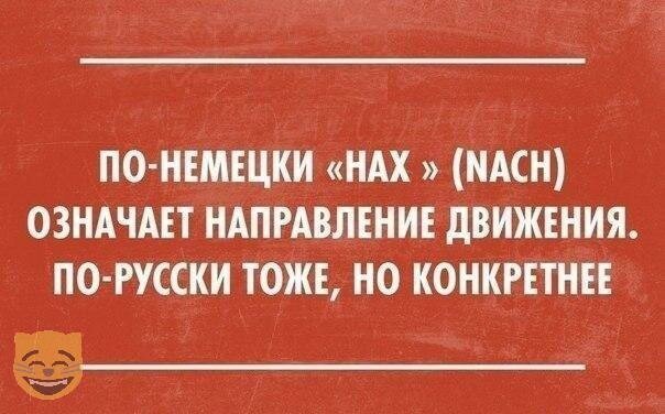 Смешные картинки от Урал за 18 августа 2019 картинки, смешные, юмор