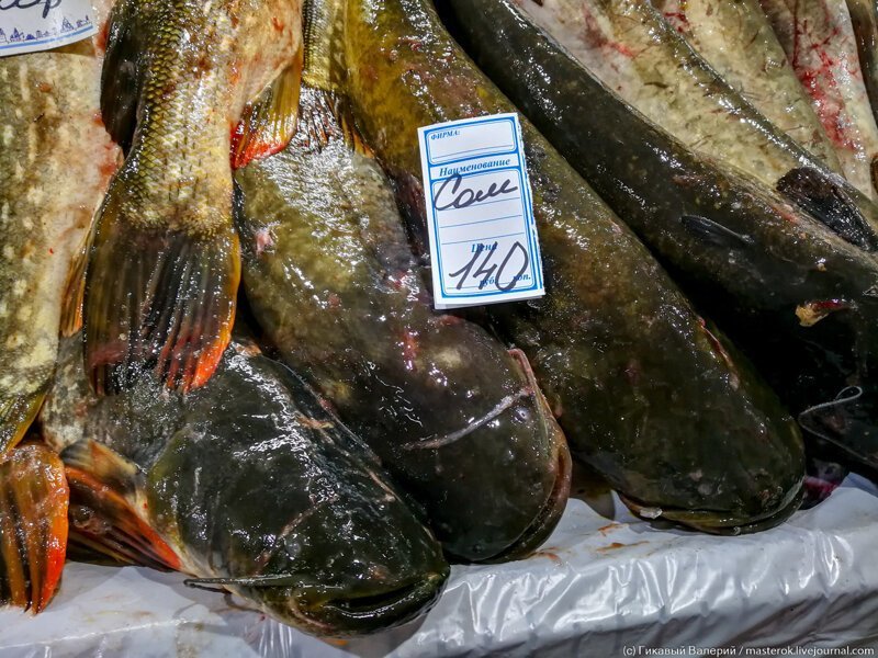 Рыба В Волгограде Где Купить Дешево