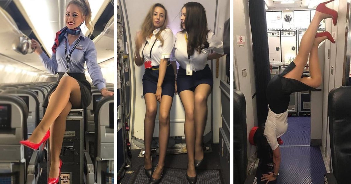 Привлекательная эротика с милыми стюардессами