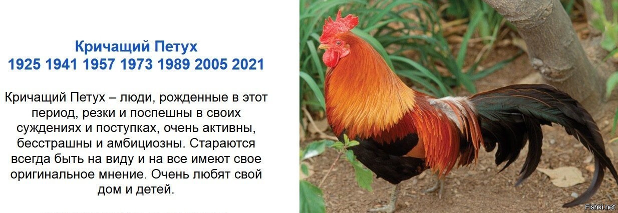 Гороскоп Петухов На 2023