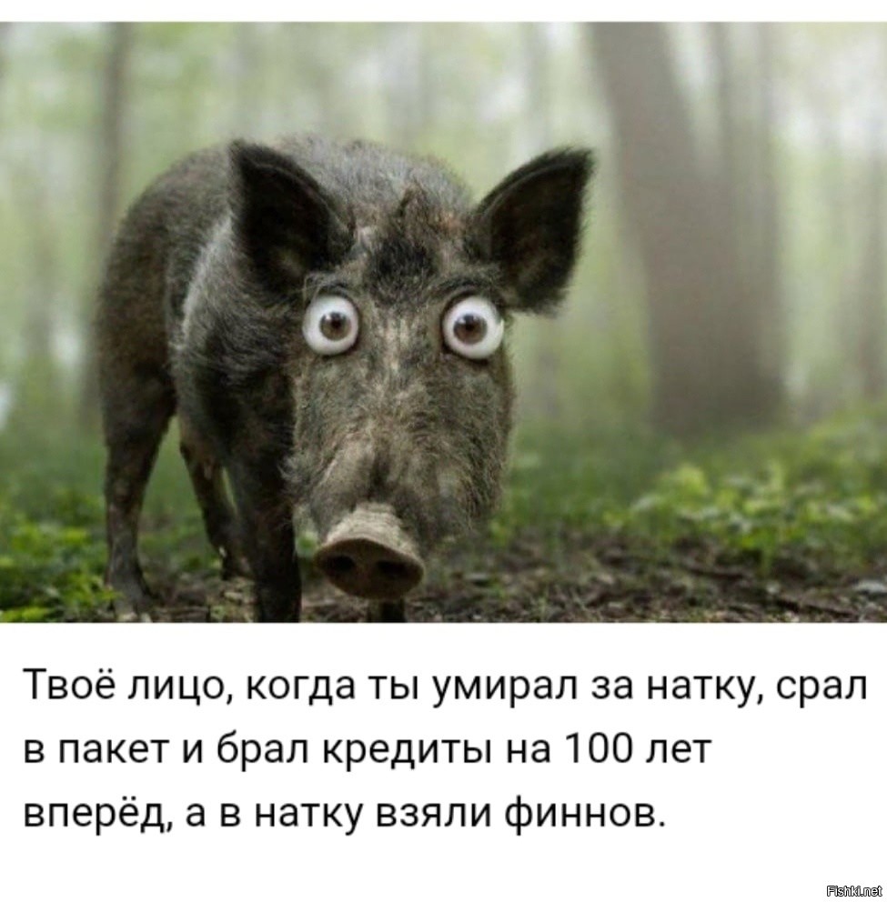 Понедельник день тяжелый приколы картинки
