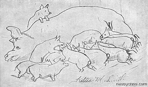 Люди-"половинки" и завидная воля к жизни