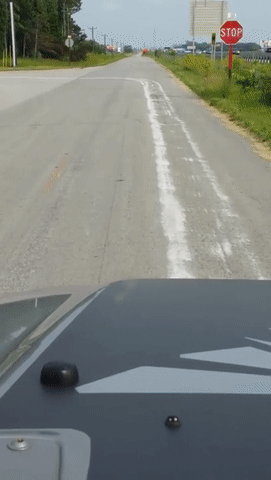 Подборка автомобильных гифок