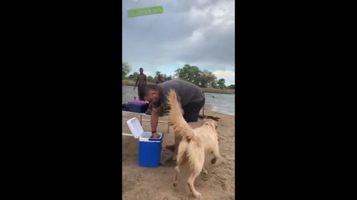 Собака-расист помешала пляжному отдыху темнокожих парней 