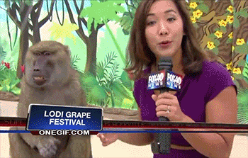 Это моя самка!