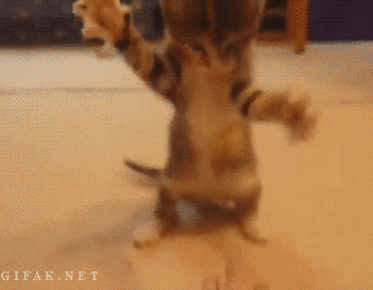 Брал уроки у Кости Дзю