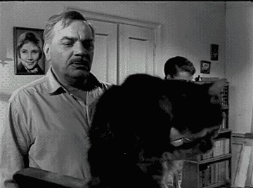 Котик в шоке! Он не ожидал от него такого