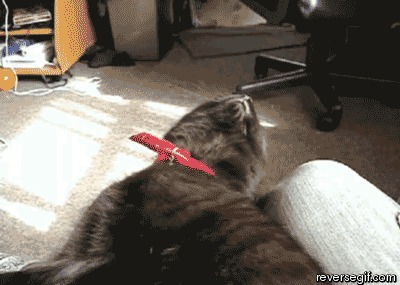Ну еще 5 минуточек