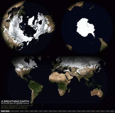 Годовой цикл смены льда и растительности на Земле