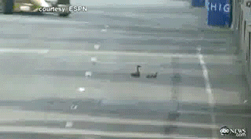 Подборка автомобильных гифок. Часть 33