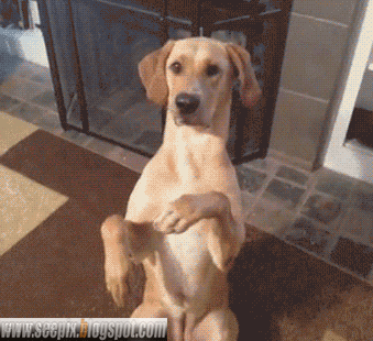 хороший актер