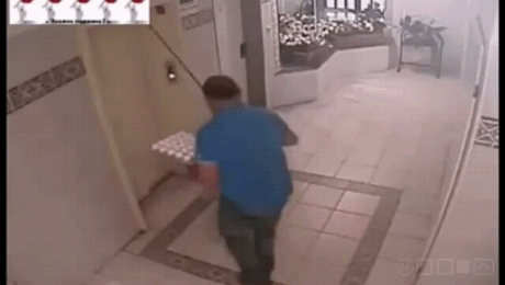 Хозяйка уехала, собака осталась Хозяйка уехала, собака осталась