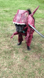 Оригинальный костюм на Хелоуин