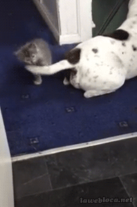 тренировка боксера