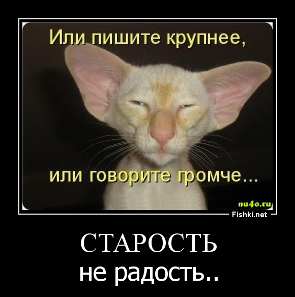 Прикольные картинки старость не в радость, китти для