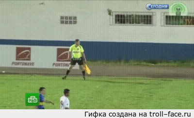 Птица видела как судья подыгрывал