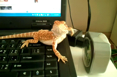 Сама грация!