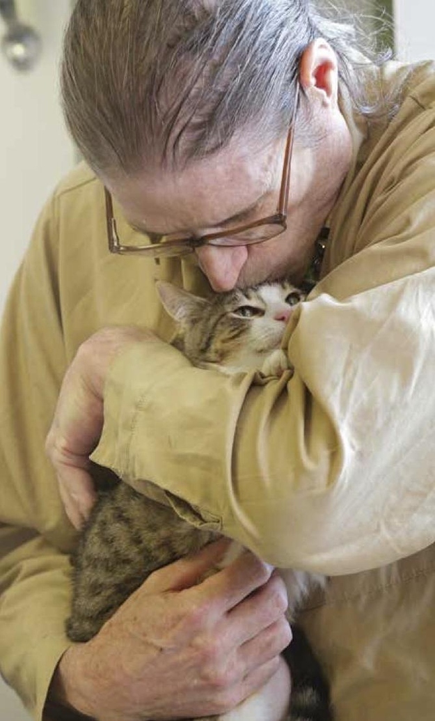 38 доказательств того, что у кошек золотые сердца дети, животные, кошки