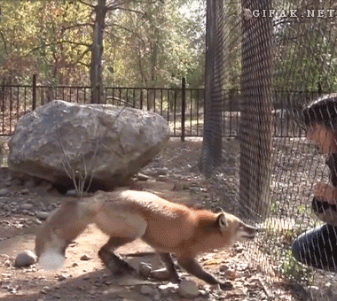 Как на батуте Как на батуте