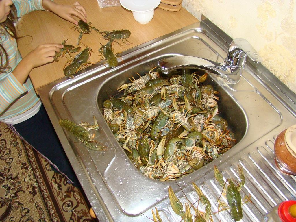 Как варить раков, рецепт с фото пошагово - luchistii-sudak.ru
