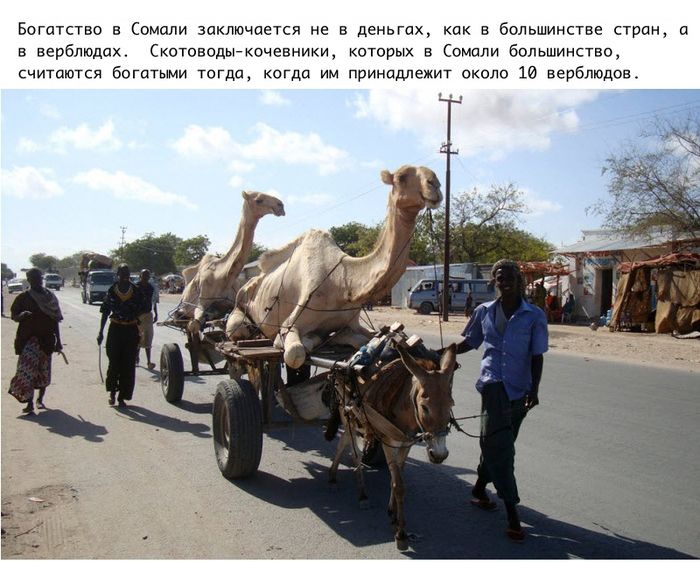 Интересные факты о Сомали