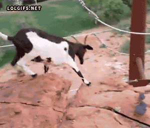 Козлиный спуск 