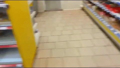 А Васька слушает да ест! А Васька слушает да ест!