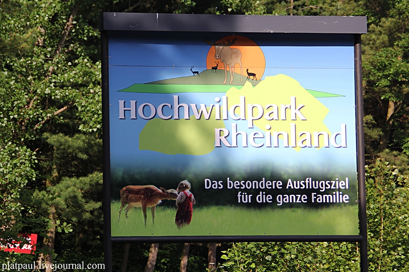 Прогулка по немецкому заповеднику Hochwildpark 2013
