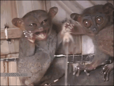 А-а-а, какой кошмар! А-а-а, какой кошмар!