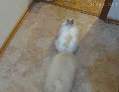 Давай прокачу тебя, что ли...