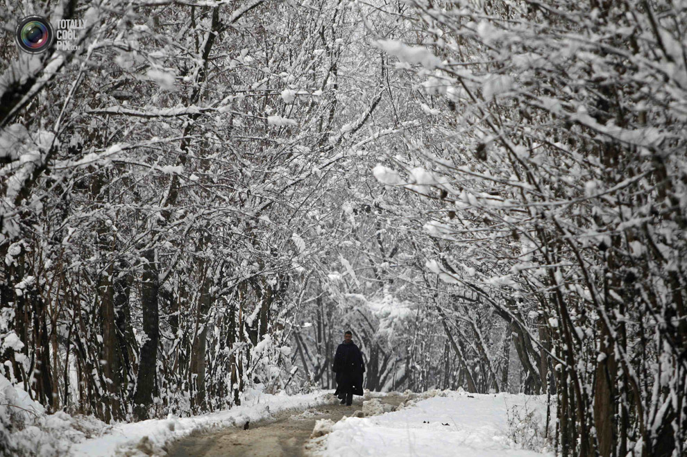 Первый снег 2006. Walk under the Snow.