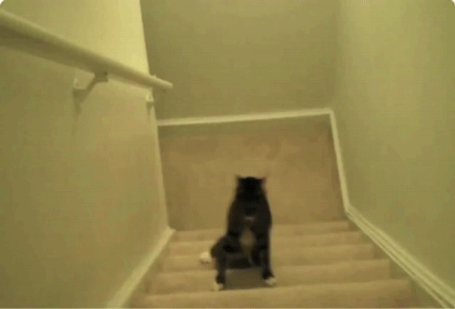 Когда идешь домой после гулянки,а лифт не работает