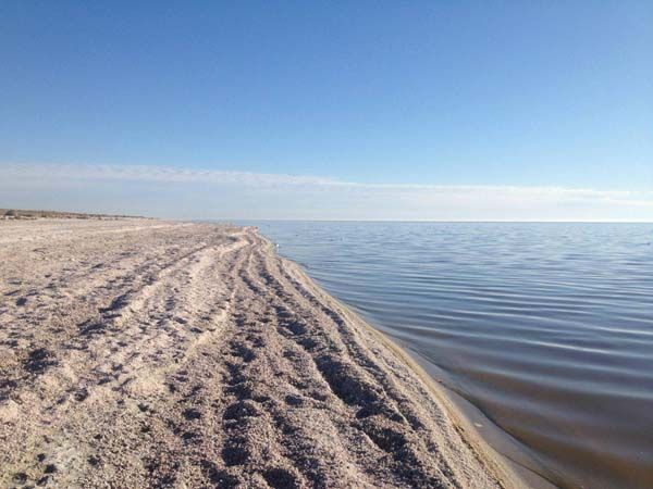 Прогулка по смертельному пляжу Солтон-Си