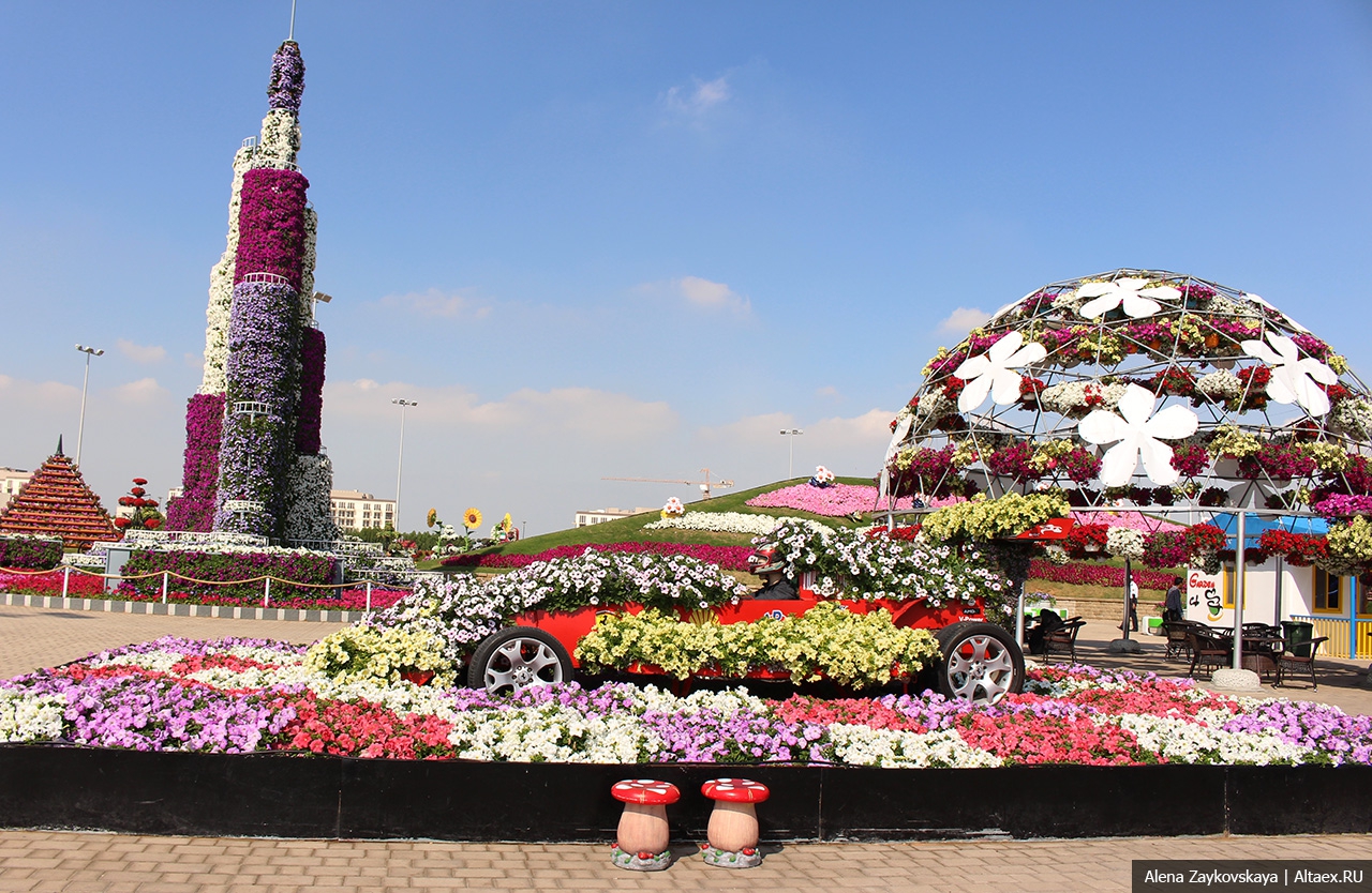 Flowers paradise. Гарден парк Дубай. Цветочный парк в Дубае. Грозный парк цветов. Дубай парк цветов Миракл.