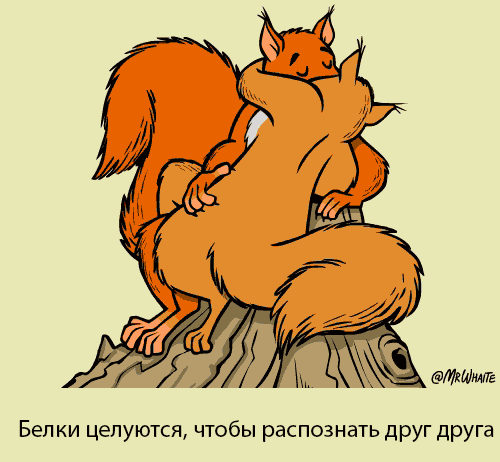 Некоторые факты о животных