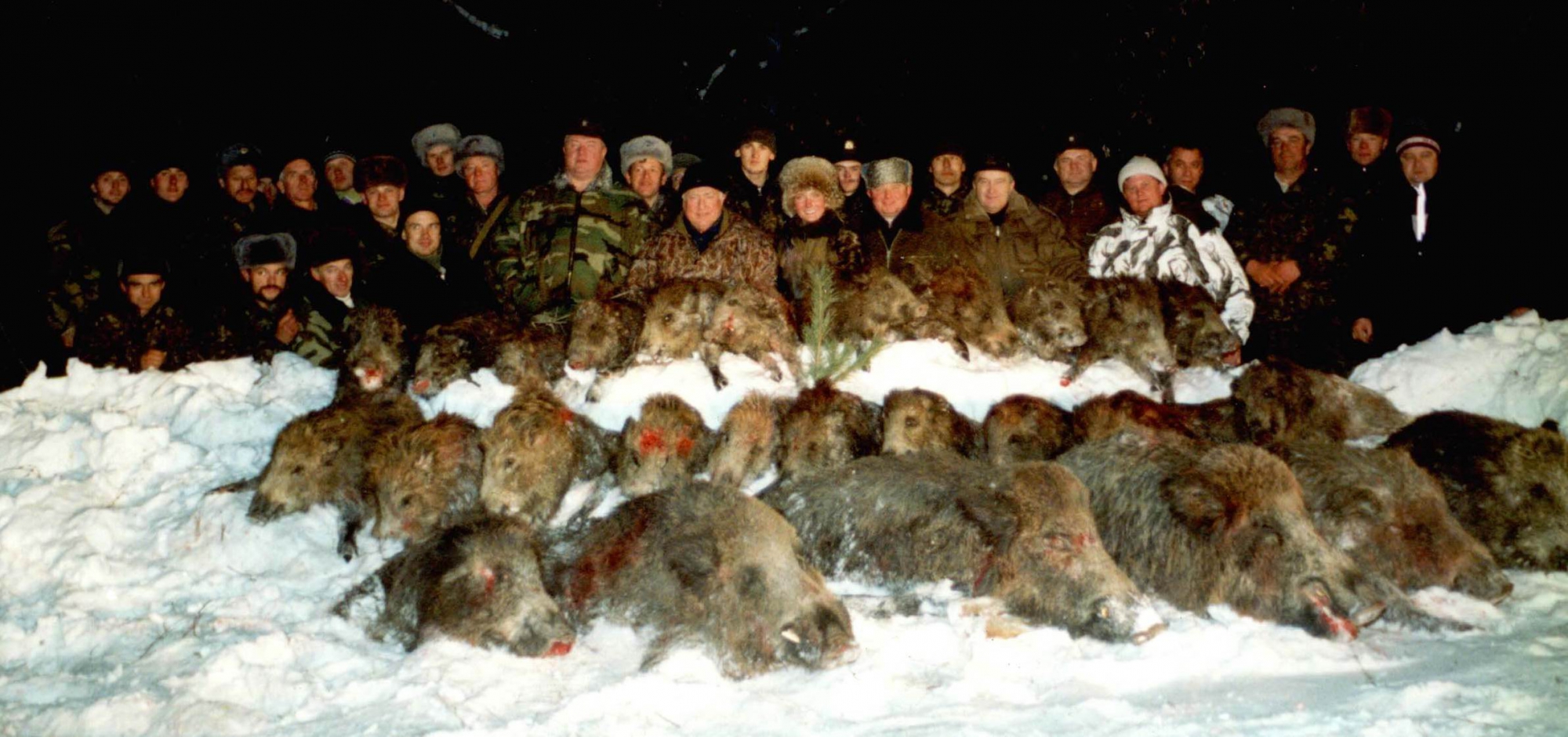 Убитые животные охотниками