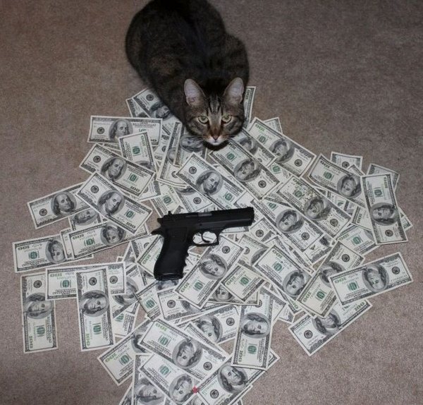 Коты-гангстеры 