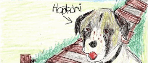 Собака, которая помогла больному мальчику обрести уверенность в себе Собака, которая помогла больному мальчику обрести уверенность в себе