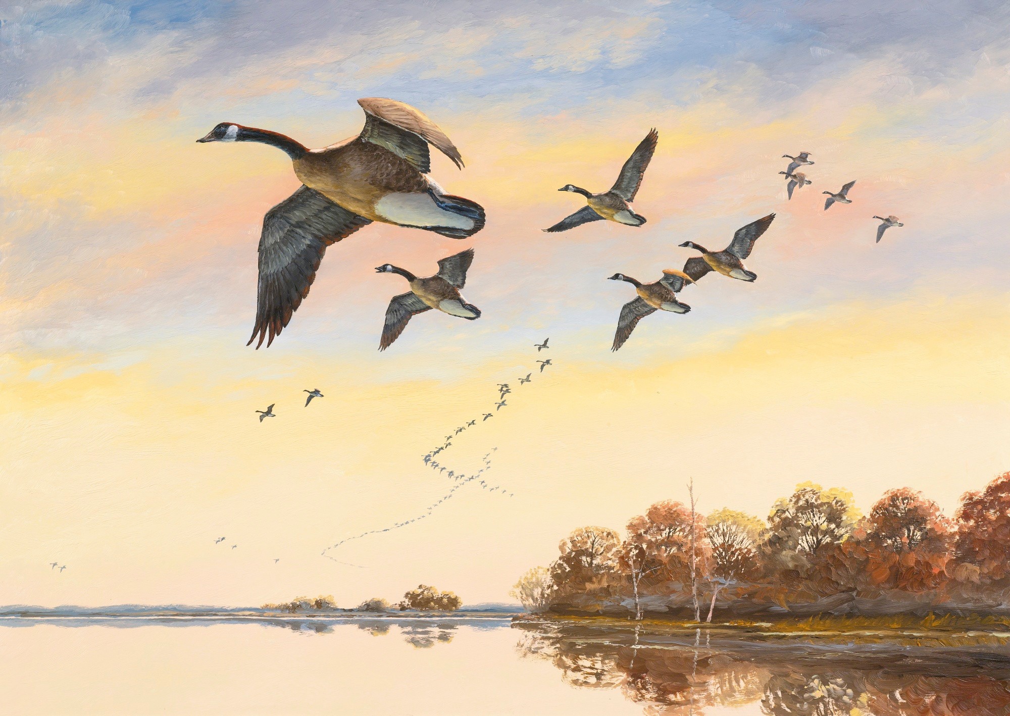 Птиц гонит на юг не наступающий. Перелётные птицы ултают на Юг. Картины художников журавлиный Клин. Осенью перелетные птицы улетают на Юг. David Maass картины.