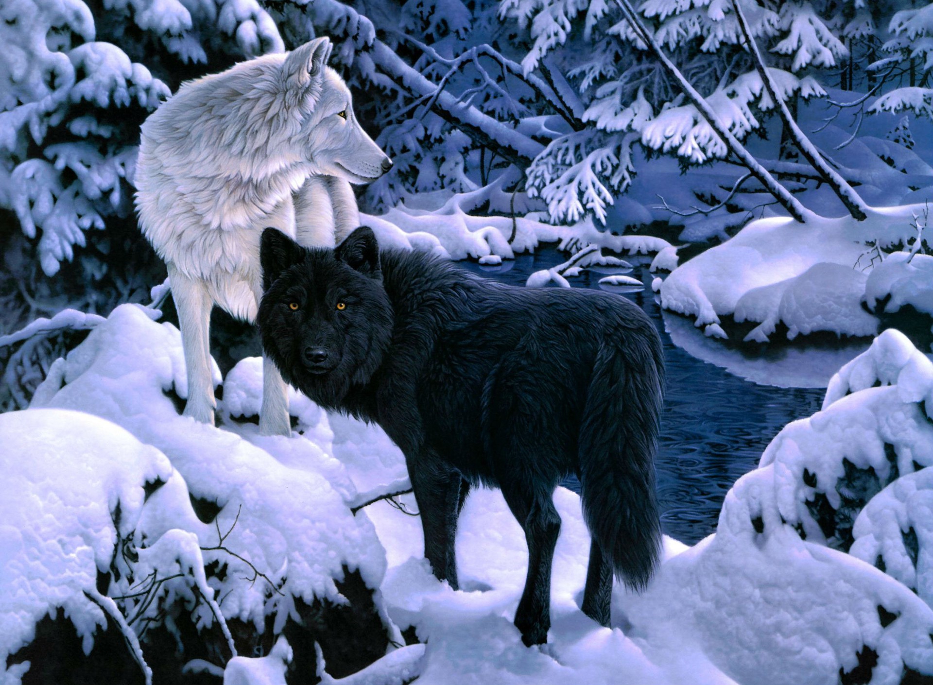 Черный волк без смс