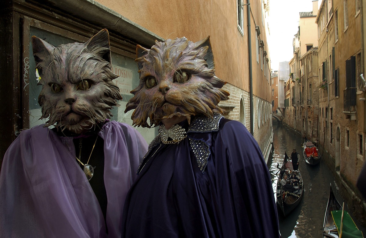 Выступление кота в маске. Венецианский карнавал маска Гатто. Маска Ньяга Венеция. Венецианская маска кошка Гатто. Карнавальная маска кота.