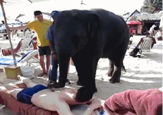 Слон пляжный массажист