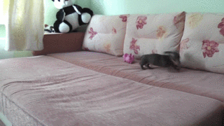 Бесконечная энергия