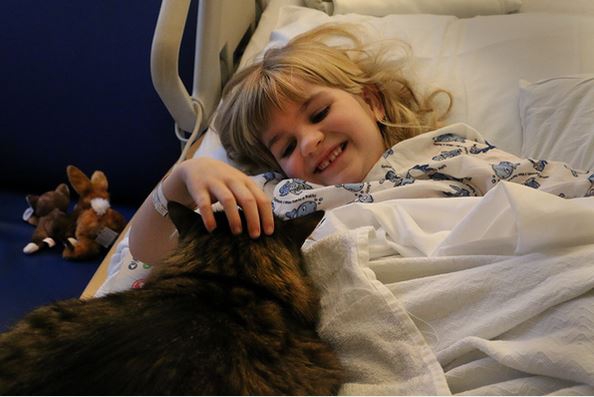Кот и собаки помогают больным детям Портленда