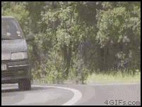 Байкер vs зеркало