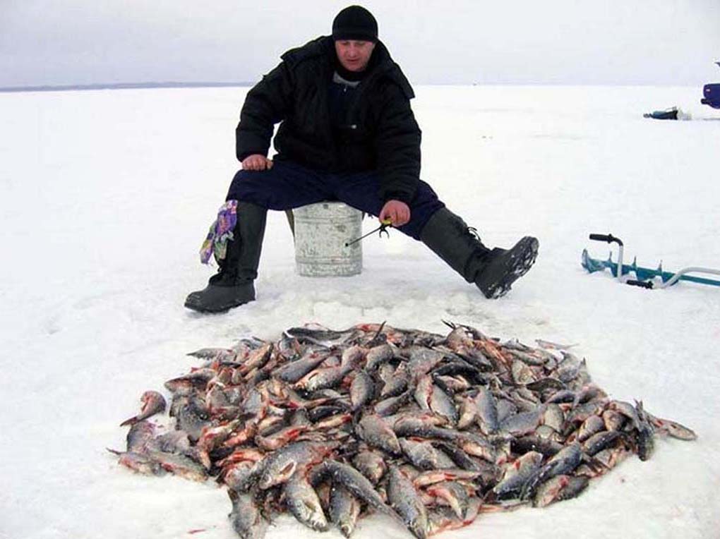 прикол про зимнюю рыбалку видео