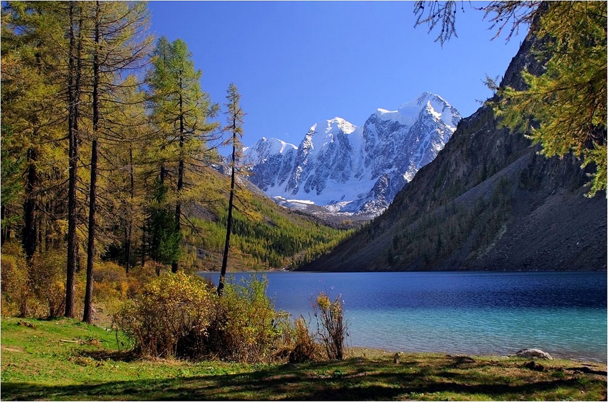 Алтайский край природа. Озеро ситр Алтай. Алтайский заповедник хребет торот. Горно Алтайск природа. Горное озеро Сания горный Алтай.