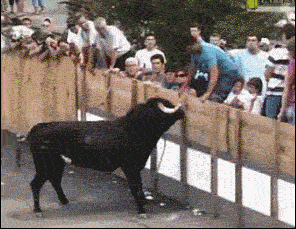 Слабоумие и отвага наше всё