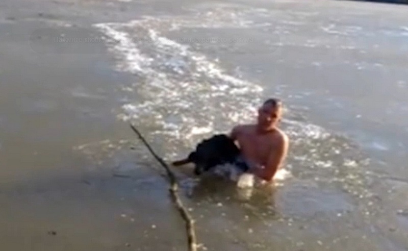 Спасти бомжа. Спас собаку из ледяной воды. Мужчина утонул спасая собаку.