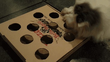 Коробка из под пиццы, мячик и кот.